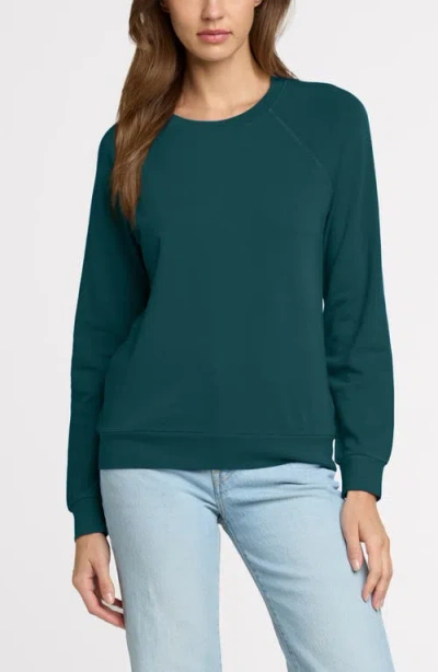 The Standard Stitch The Organic Cotton Raglan Sweatshirt In Blue