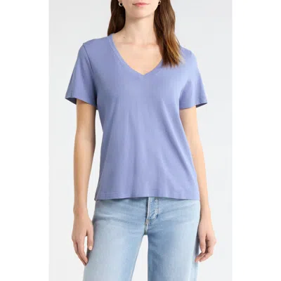The Standard Stitch The Organic Cotton V-neck Tee In Blue
