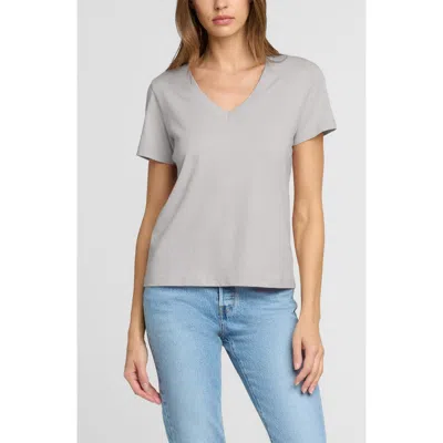 The Standard Stitch The Organic Cotton V-neck Tee In Gray