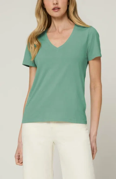 The Standard Stitch The Organic Cotton V-neck Tee In Green