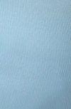 The Standard Stitch The Rib Tank In Sky Blue