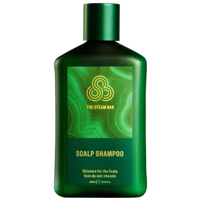 The Steam Bar Clarifying Curly Shampoo For Oily Scalp & Build Up 8.45/250