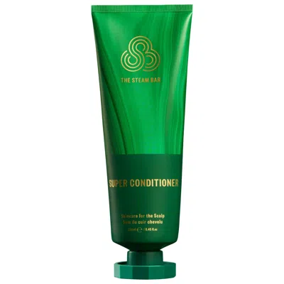The Steam Bar Scalp & Hair Hydrating Conditioner For Dry, Curly Hair 8.45/250