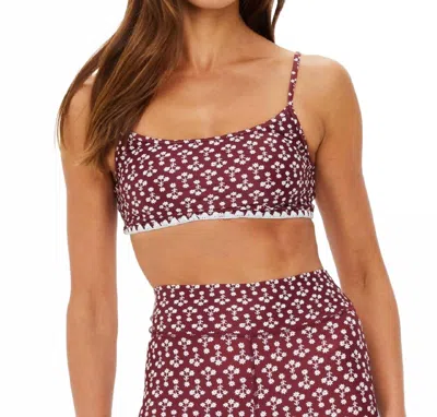 The Upside Firefly Hutton Scoop Bra In Ditsy Floral In Multi