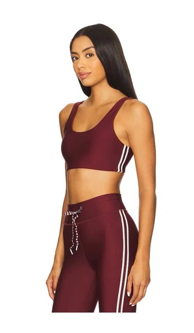 The Upside Oxford Harley Scoop Sports Bra In Burgundy