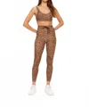 The Upside Panthera Scoop Neck Bra In Leopard In Brown