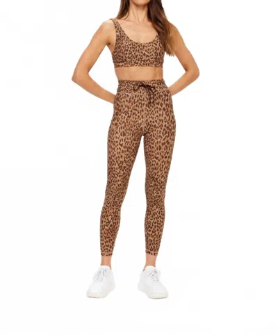 The Upside Panthera Scoop Neck Bra In Leopard In Brown