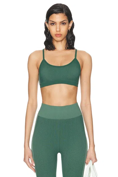 The Upside Ribbed Seamless Ballet Bra In Pine & Matcha