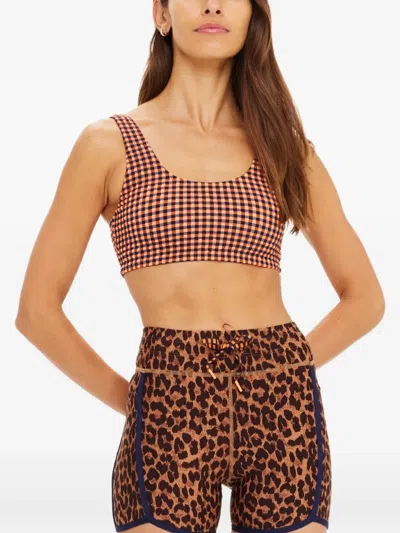 The Upside Solaris Harley Scoop Bra In Brown