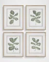 The Uttermost Co Fiddle Head Leaf Framed Botanical Prints By Haley Knighten, Set Of 4 In Green