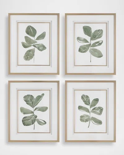 The Uttermost Co Fiddle Head Leaf Framed Botanical Prints By Haley Knighten, Set Of 4 In Green