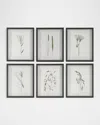 The Uttermost Co Forest Finds Framed Botanical Prints, Set Of 6 In Green