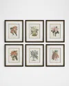 The Uttermost Co Orchid Framed Botanical Prints, Set Of 6 In Multi