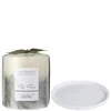 The White Company The Fir Tree Botanical Candle And Plate - Medium