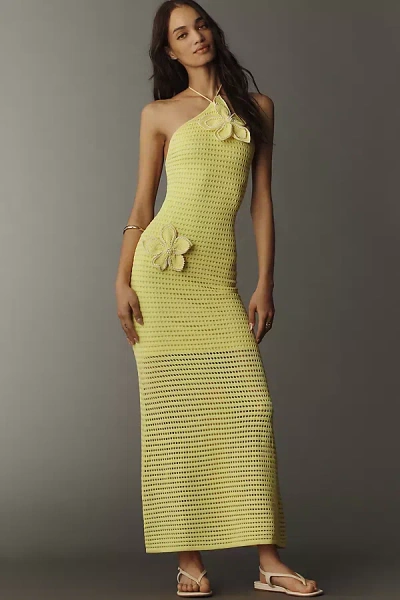 The Wolf Gang Sevilla 3d Floral Halter Maxi Dress In Yellow