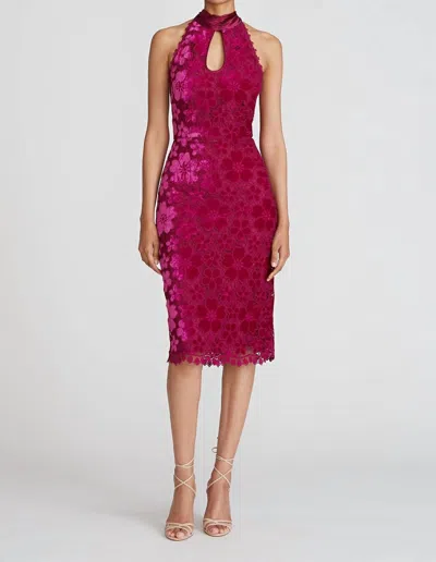 Theia Andrea Bow Back Midi Dress In Plumeria In Multi