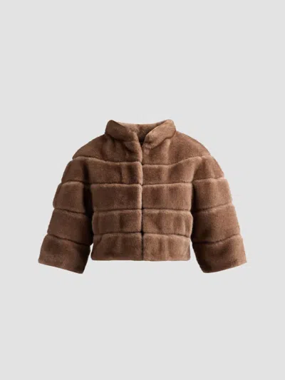 Theia Women's Varna Faux Fur Cropped Jacket In Brown