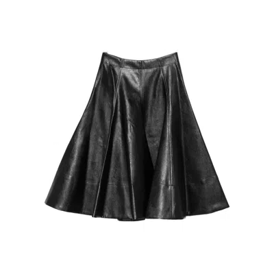 Thelaurent Flared Skirt In Black