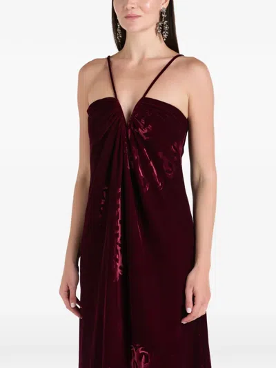 Themis Z Anthos Floral Velvet Maxi Dress In Brown