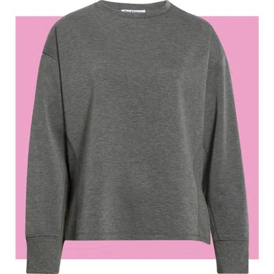 Theo And Spence Crewneck Sweatshirt In Gray
