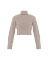 Theo The Label Angelia Cropped Turtleneck Sweater In Sustained Grey