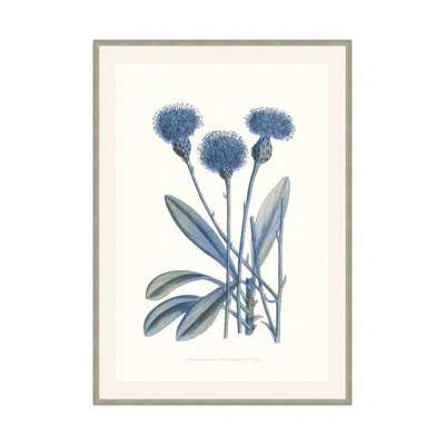 Theodore Alexander Bouquet Blue 1 Framed On Paper By Studio L57 Nouvelle Print In Snowy White,aegean Blue