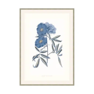 Theodore Alexander Bouquet Blue 2 Framed On Paper By Studio L57 Nouvelle Print In Slate Blue,ash,cool Gray