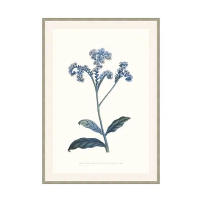 Theodore Alexander Bouquet Blue 4 Framed On Paper By Studio L57 Nouvelle Print In Slate Blue,ash,cool Gray