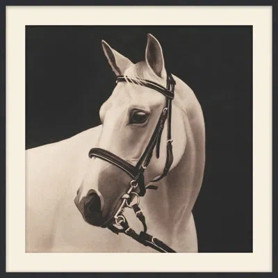Theodore Alexander Comrade 1 Framed Art Print In Black,white
