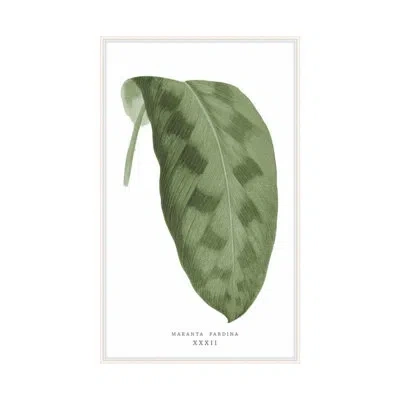 Theodore Alexander Green Trace 1 By Studio L57 Nouvelle - Single Picture Frame Print On Paper