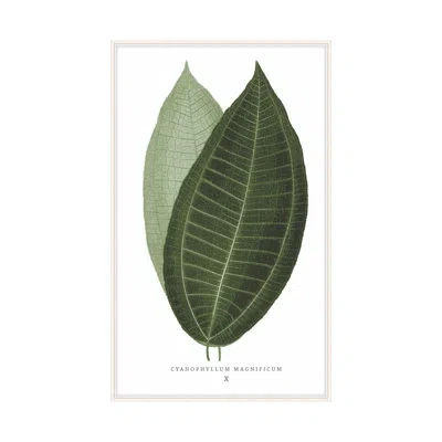 Theodore Alexander Green Trace 2 By Studio L57 Nouvelle - Single Picture Frame Print On Paper In Olive Green,emerald Green