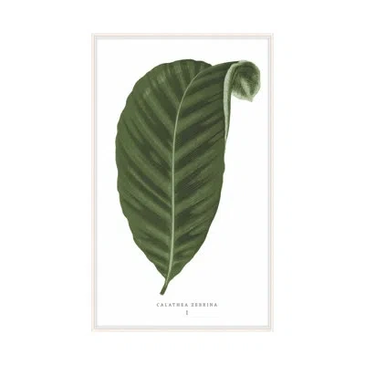 Theodore Alexander Green Trace 3 By Studio L57 Nouvelle - Single Picture Frame Print On Paper In Forest,sage Green