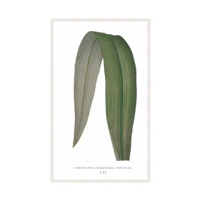 Theodore Alexander Green Trace 5 By Studio L57 Nouvelle - Single Picture Frame Print On Paper In Emerald,sage Green,burgundy