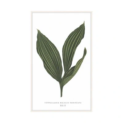 Theodore Alexander Green Trace 6 By Studio L57 Nouvelle - Single Picture Frame Print On Paper In Forest Green,olive Green