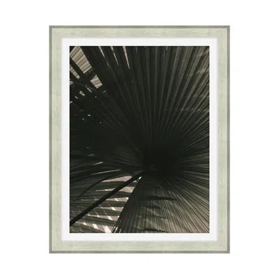 Theodore Alexander In The Shade 1 By Studio L57 Narrative - Single Picture Frame Print In Black,gray,white