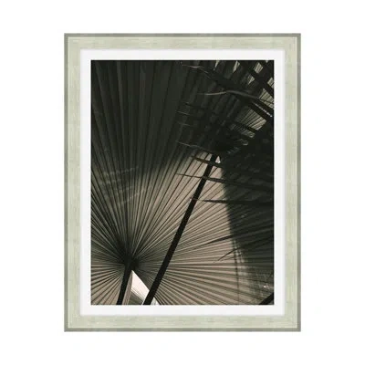 Theodore Alexander In The Shade 2 By Studio L57 Narrative - Single Picture Frame Print In Black,gray,white