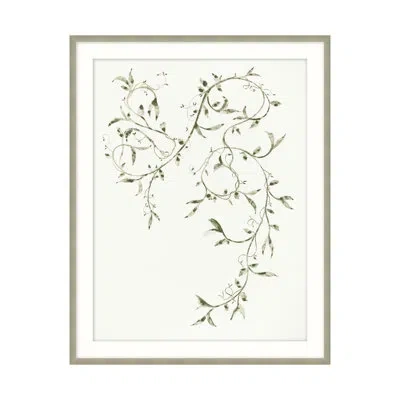 Theodore Alexander Leafy Vines 3 By Studio L57 Affinity - Single Picture Frame Print In Green,sage,gray