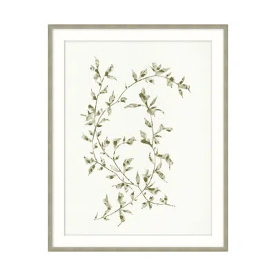 Theodore Alexander Leafy Vines 5 By Studio L57 Affinity - Single Picture Frame Print In Green,sage,gray