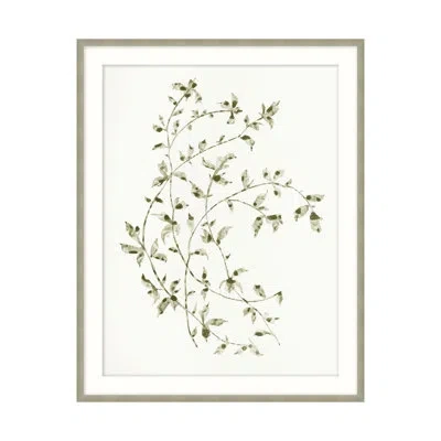 Theodore Alexander Leafy Vines 6 By Studio L57 Affinity - Single Picture Frame Print In Green,sage,gray