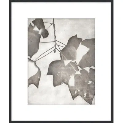 Theodore Alexander Lucent Botanicals 2 Framed Art Print In Gray,white
