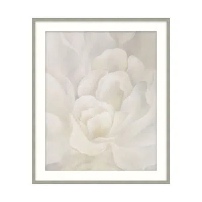 Theodore Alexander Sweetest Taboo 2 By Studio L57 Affinity - Single Picture Frame Print In Warm Gray,milky Off White