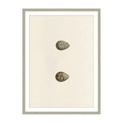 Theodore Alexander Unhatched 1 By Studio L57 Nouvelle - Single Picture Frame Illustration In Beige,brown
