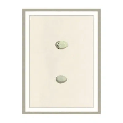 Theodore Alexander Unhatched 2 By Studio L57 Nouvelle - Single Picture Frame Illustration In Green,gray,beige