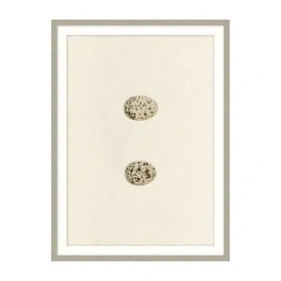 Theodore Alexander Unhatched 4 By Studio L57 Nouvelle - Single Picture Frame Illustration In Gray,brown,beige