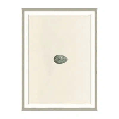 Theodore Alexander Unhatched 5 By Studio L57 Nouvelle - Single Picture Frame Illustration In Beige,brown,sage Green