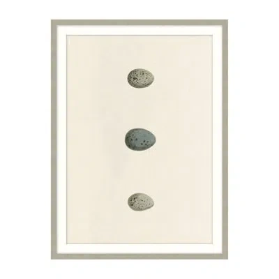 Theodore Alexander Unhatched 6 By Studio L57 Nouvelle - Single Picture Frame Illustration In Beige,dark Brown,smokey Blue
