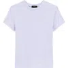 Theory 2 Nebulous Organic Cotton Tiny Tee In Pearl Blue