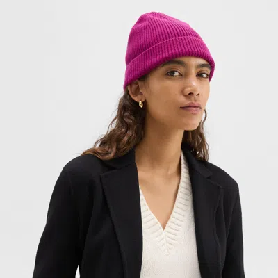 Theory Beanie In Cashmere In Wildflower