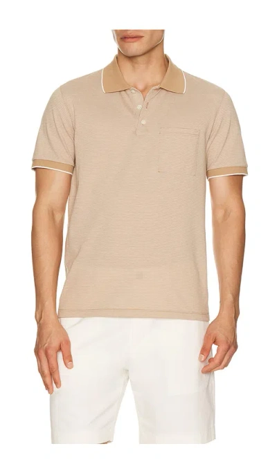 Theory Birdseye Polo In Brown