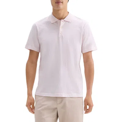 Theory Bron D. Cosmos Polo In Dogwood